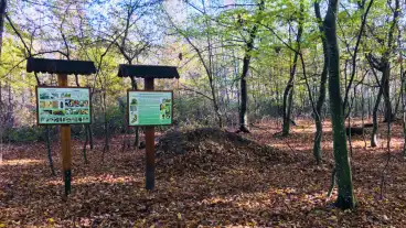 Kirandulastervezo Kaszo Oregerdo Tanosveny 01
