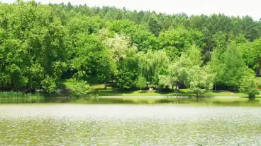 Kirandulastervezo Kety Horgaszto