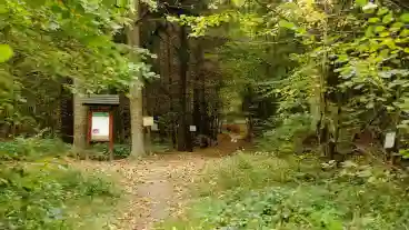 Kirandulastervezo Kishuta Pafrany Tanosveny