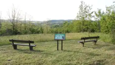 Kirandulastervezo Kisszekely Negyszogletu Kerekerdo Tanosveny 1