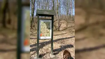 Kirandulastervezo Komlo Sikonda Tanosveny