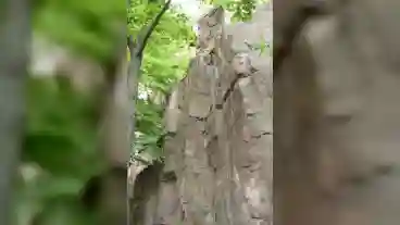 Kirandulastervezo Kovagoszolos Sasfeszek