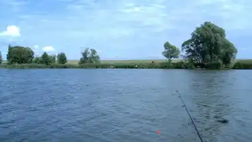 Kirandulastervezo Kutas Halasto