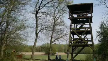 Kirandulastervezo Lassi Madarmegfigyelo