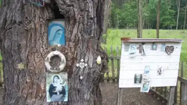 Kirandulastervezo Libickozma Kepesfa