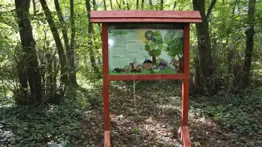 Kirandulastervezo Lorinci Richter Anna Tanosveny 1