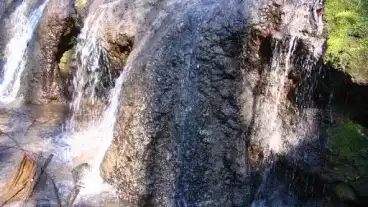 Kirandulastervezo Manfa Melegmanyi Vizeses