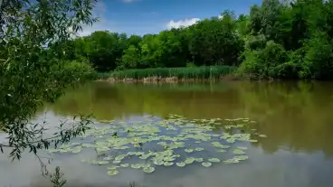 Kirandulastervezo Marok Horgaszto