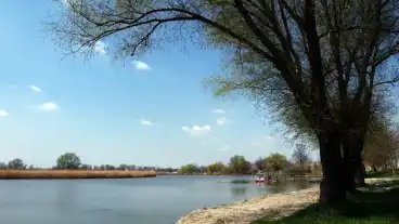 Kirandulastervezo Matty Horgaszto