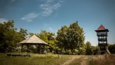 Kirandulastervezo Mecseknadasd Varhegy Kilato
