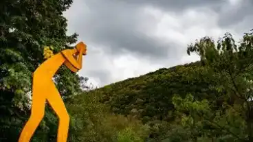 Kirandulastervezo Mecseknadasd Vasgyuro Orias 1