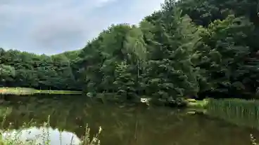 Kirandulastervezo Nagyhuta Afonyas To