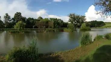 Kirandulastervezo Nezsa Ezersziget Horgaszto