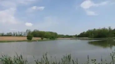 Kirandulastervezo Orci Horgaszto