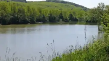 Kirandulastervezo Ormosbanya Horgaszto