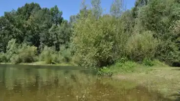 Kirandulastervezo Ortilos Drava Arter Tanosveny