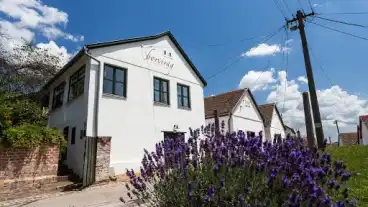 Kirandulastervezo Palkonya Borvirag Vendeghaz 1