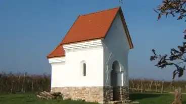 Kirandulastervezo Palkonya Szolohegyi Kapolna 01