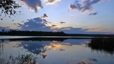 Kirandulastervezo Palotas Viztarozo