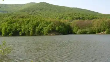 Kirandulastervezo Paszto Hasznosi Viztarozo