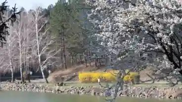 Kirandulastervezo Pecsvarad Dombay To 1