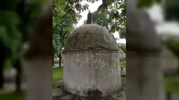 Kirandulastervezo Pincehely Apacak Kutja