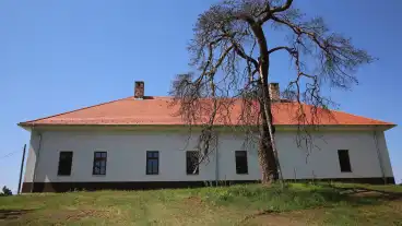 Kirandulastervezo Pincehely Csefalvay Kuria