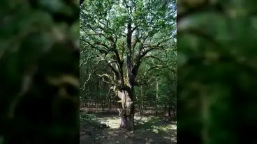 Kirandulastervezo Ragaly Emlektolgy 1