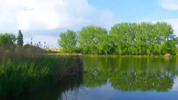 Kirandulastervezo Raksi Horgaszto