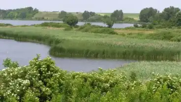 Kirandulastervezo Regoly Pacsmagi Tavak