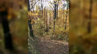 Kirandulastervezo Repasguta Tarnics Tanosveny 1