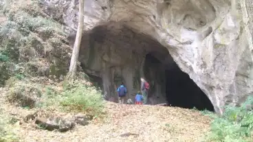 Kirandulastervezo Repashuta Rejteki Tanosveny