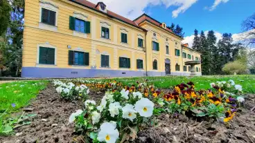 Kirandulastervezo Sellye Arboretum