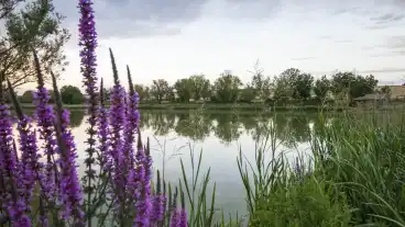 Kirandulastervezo Somberek Horgaszto