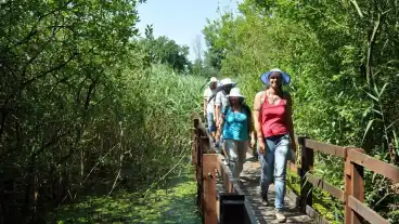 Kirandulastervezo Szaporca Drava Elovilaga Tanosveny