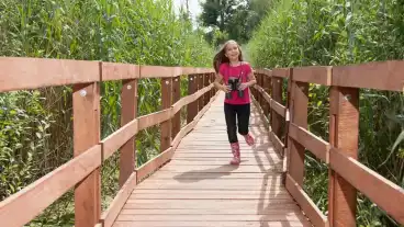 Kirandulastervezo Szaporca Os Drava Tanosveny