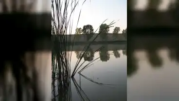 Kirandulastervezo Szarasz Horgaszto