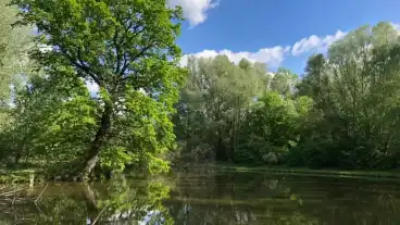 Kirandulastervezo Szedres Horgaszto