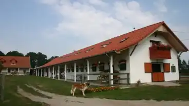 Kirandulastervezo Szenta Torok Lovastanya 1