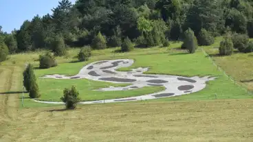 Kirandulastervezo Szinpetri Foltos Szalamandra