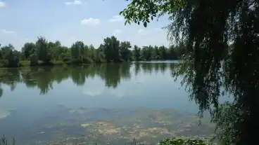 Kirandulastervezo Szirmabesnyo Viztarozo