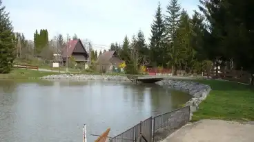 Kirandulastervezo Szuha Gombas To