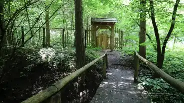 Kirandulastervezo Tar Tuzson Arboretum 1