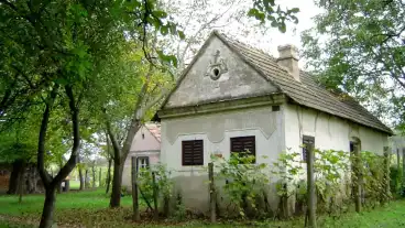 Kirandulastervezo Tarany Szolohegy