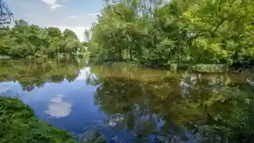 Kirandulastervezo Tengelic Park To