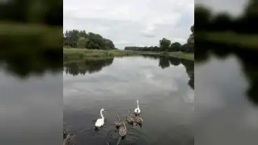 Kirandulastervezo Tiszaladany Tisza Holtag