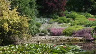 Kirandulastervezo Tolna Merczel Kert