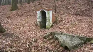 Kirandulastervezo Torokkoppany Torok Kut