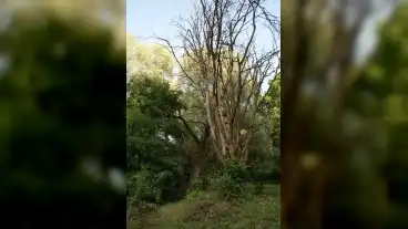 Kirandulastervezo Varsany Tabi Fuzfa