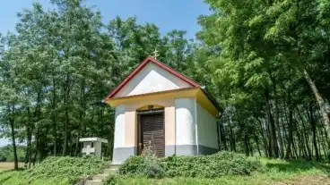 Kirandulastervezo Vasarosmiske Hegyi Kapolna